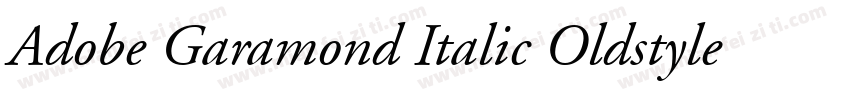 Adobe Garamond Italic Oldstyle Figu字体转换